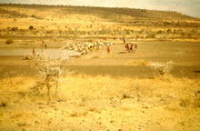 s_a96_74.jpg