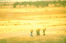 s_a96_75.jpg