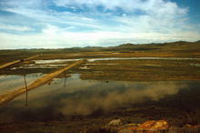 s_cina_93_27.jpg