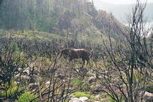 s_012_patagonia.jpg