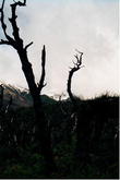 s_013_patagonia.jpg