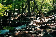 s_015_patagonia.jpg
