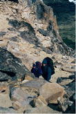 s_027_patagonia.jpg