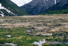 s_029_patagonia.jpg