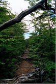 s_041_patagonia.jpg