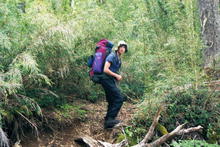 s_043_patagonia.jpg