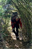 s_049_patagonia.jpg