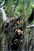 s_050_patagonia.jpg