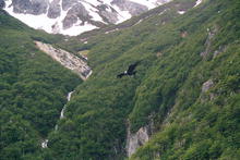 s_074_patagonia.jpg