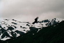 s_075_patagonia.jpg