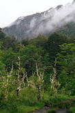 s_077_patagonia.jpg