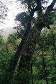 s_079_patagonia.jpg