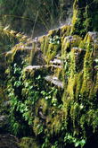 s_086_patagonia.jpg