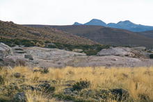 s_152_el_tatio.jpg