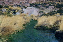 s_153_el_tatio.jpg