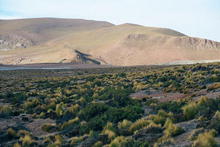 s_159_el_tatio.jpg