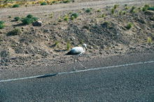 s_180_potosi.jpg
