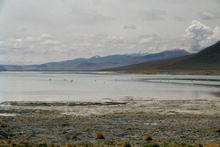 s_185_potosi.jpg