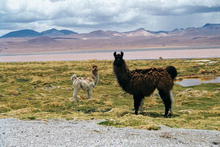 s_190_potosi.jpg