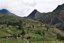 s_236_huaricunca.jpg