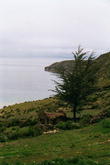 s_255_titicaca.jpg