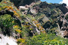 s_291_inca_trail.jpg