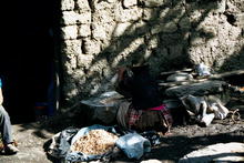 s_294_inca_trail.jpg