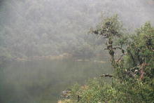 s_306_inca_trail.jpg