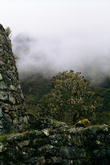 s_308_inca_trail.jpg