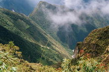 s_317_inca_trail.jpg