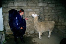 s_326_machu_picchu.jpg