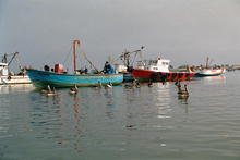 s_347_paracas.jpg