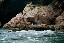 s_349_paracas.jpg