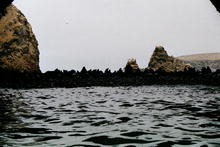 s_350_paracas.jpg