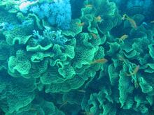 s_img_1851.jpg