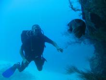 s_img_1911.jpg