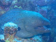 s_img_2036.jpg
