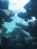 s_img_2109.jpg