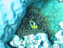 s_img_2147.jpg