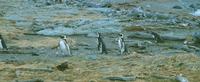 a_458.jpg