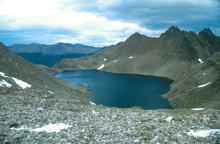 s_335.jpg