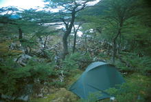 s_363.jpg