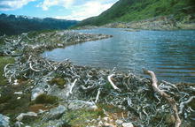 s_370.jpg