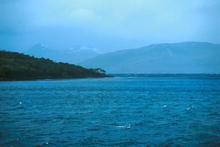 s_423.jpg