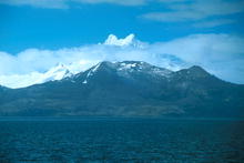 s_425.jpg