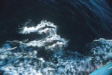 s_435.jpg