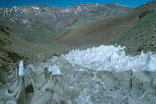 s_495.jpg