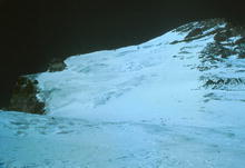 s_499.jpg