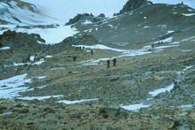 s_509.jpg