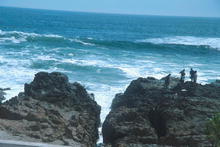 s_532.jpg